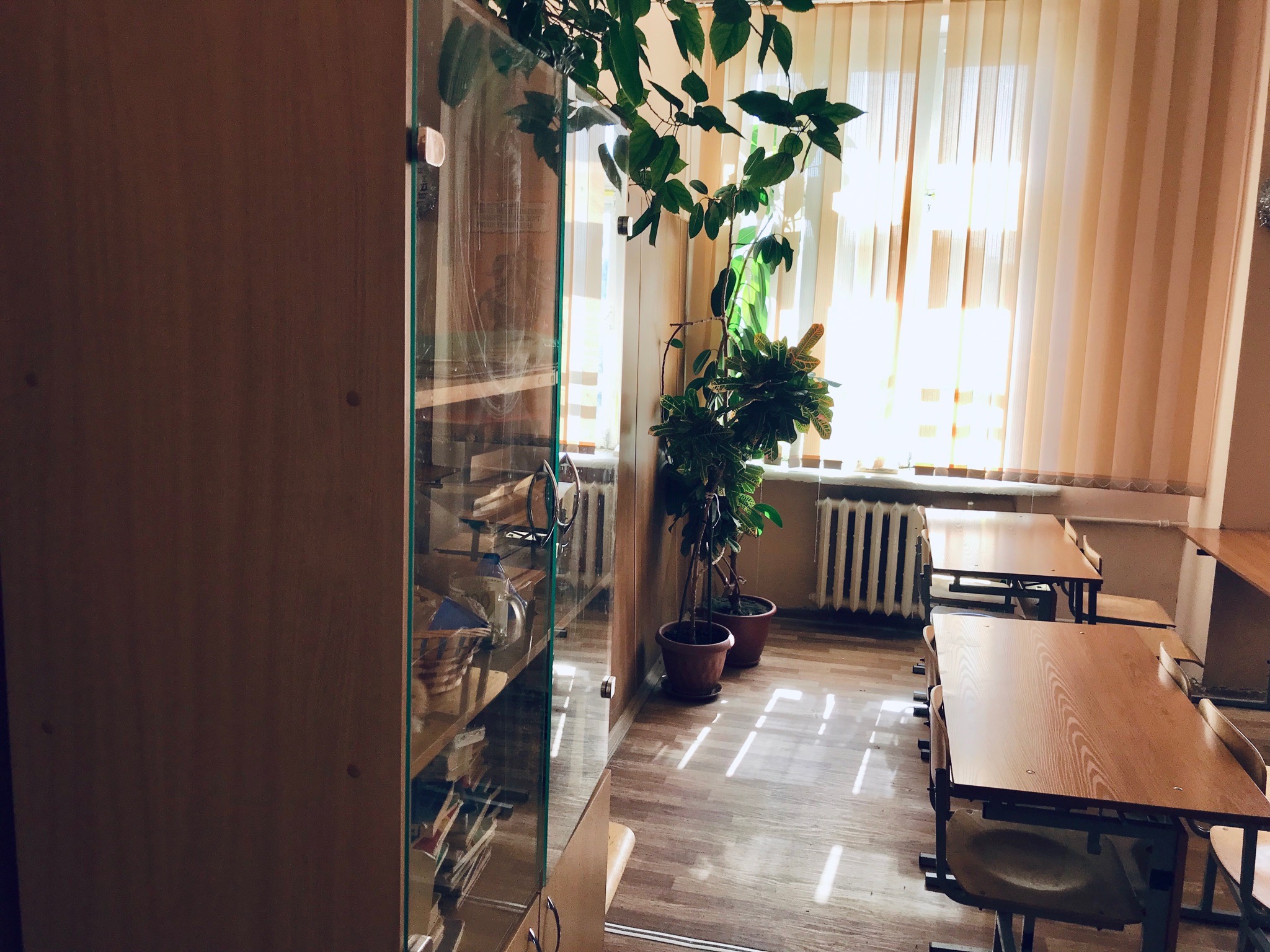 Еще семь школ в Волгограде уходят на карантин с понедельника Еще семь школ в Волгограде уходят на карантин с понедельника