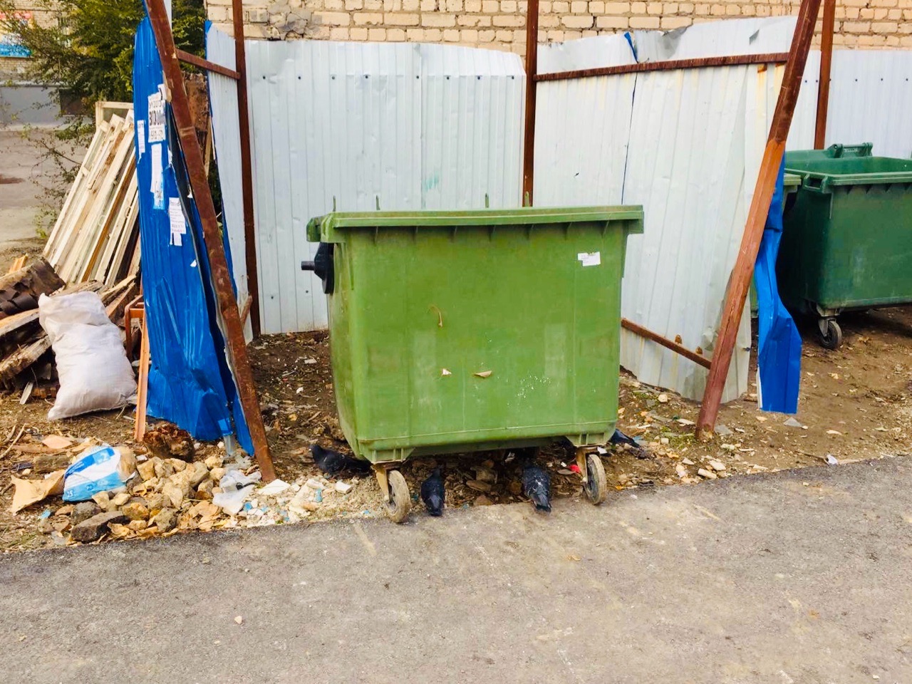 «По нормативам или по факту?»: волгоградцы переплачивают за вывоз мусора «По нормативам или по факту?»: волгоградцы переплачивают за вывоз мусора
