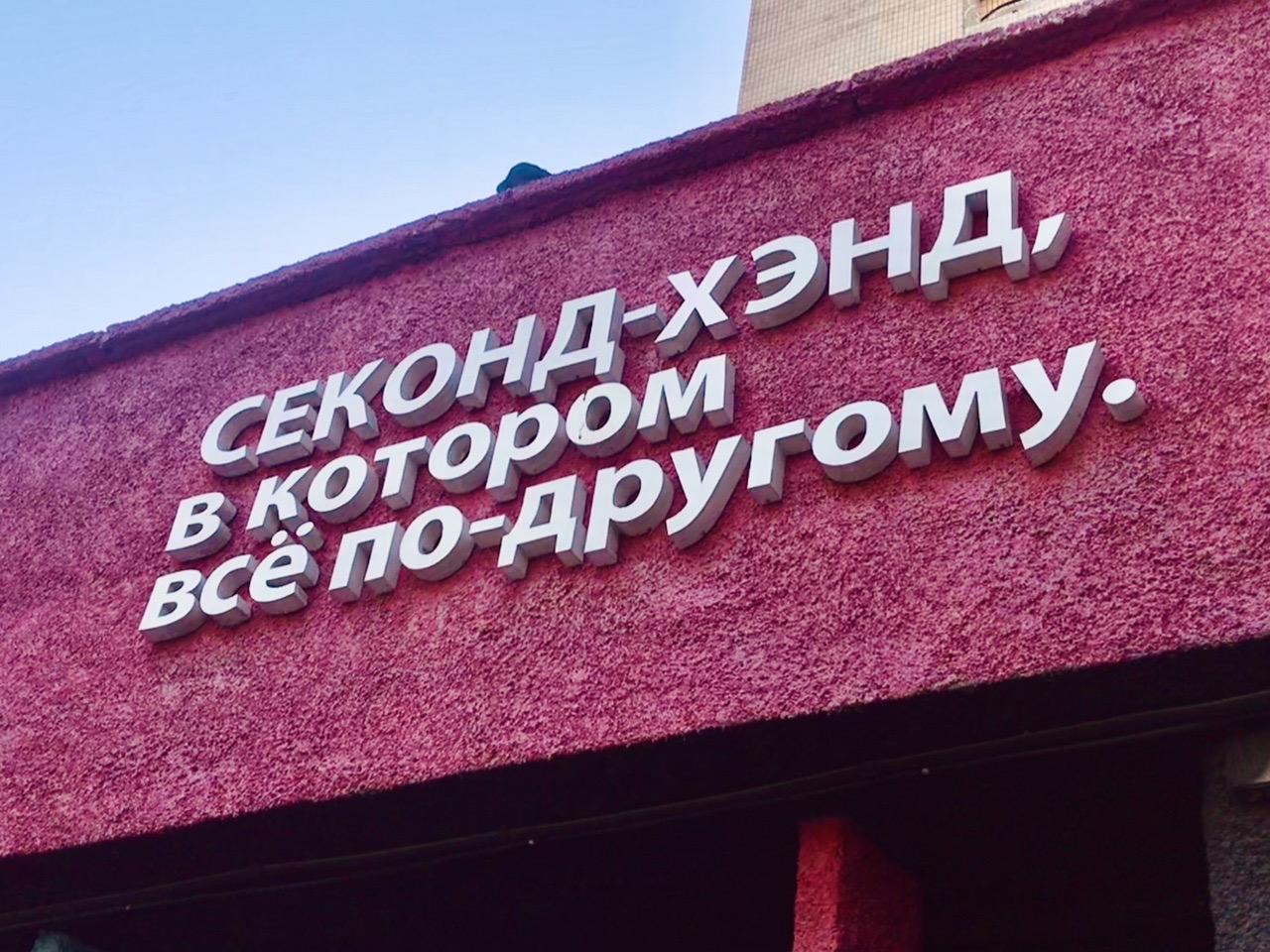 Выборы в волгограде в 2023 году