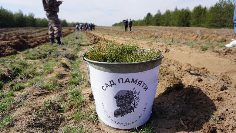 В Волгоградской области странным образом отчитались о высадке Сада Памяти В Волгоградской области странным образом отчитались о высадке Сада Памяти