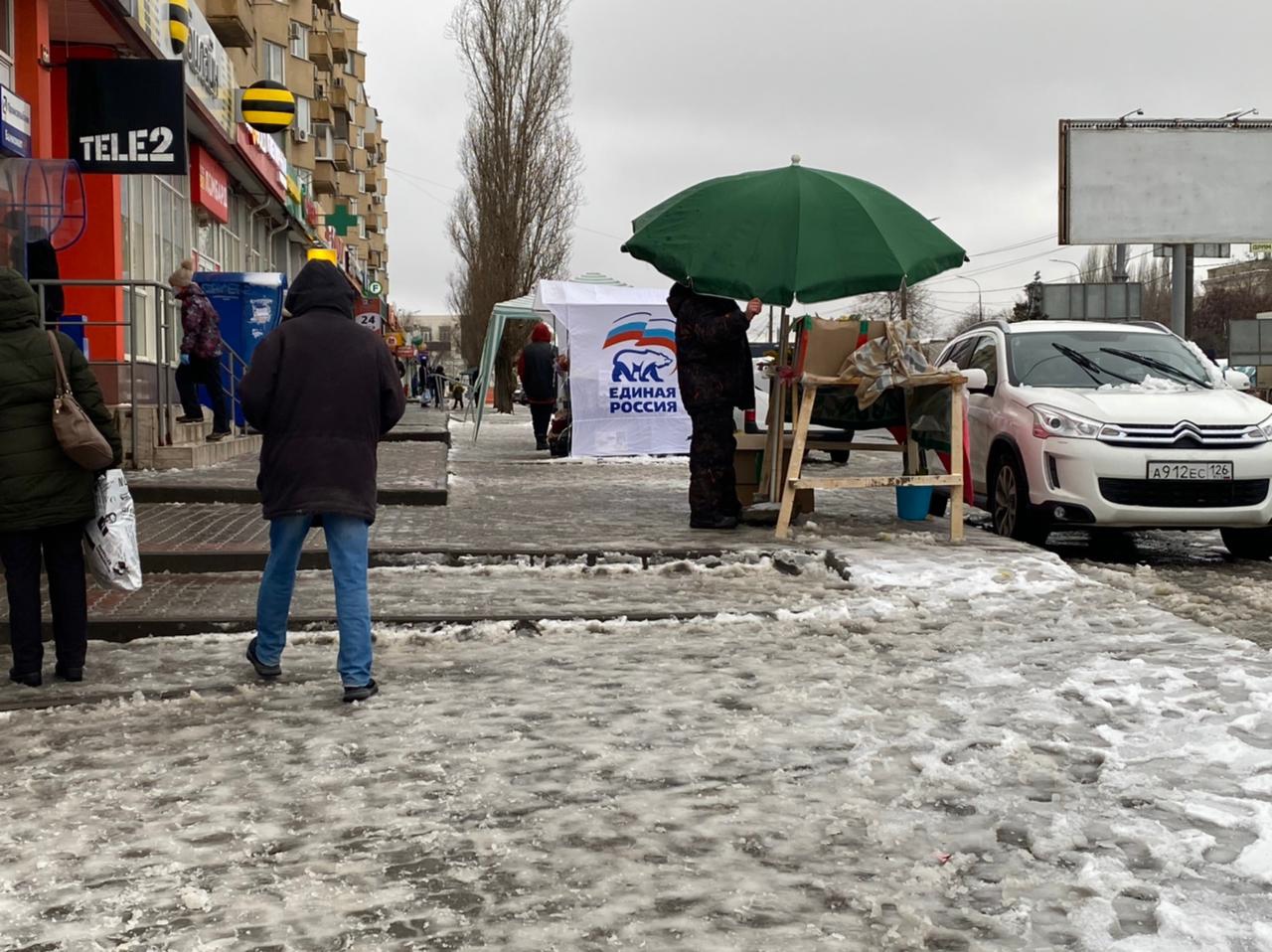Покупайте цветы: волгоградское реготделение quot;Единой Россииquot; нашло подработку в п